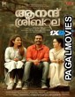 Anand Sreebala (2024) Malayalam Full Movie