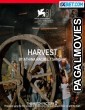 Harvest (2024) Hollywood Hindi Dubbed Full Movie