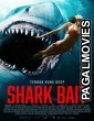 Shark Bait (2022) Telugu Dubbed