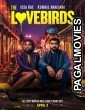 The Lovebirds (2020) English Movie