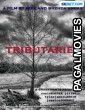 Tributaries (2022) Hollywood Hindi Dubbed Full Movie