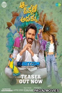 Aa Okkati Adakku (2024) Telugu Full Movie