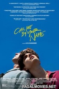 Call Me by Your Name (2017) English Movie