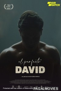 El perfecto David (2021) Hollywood Hindi Dubbed Full Movie